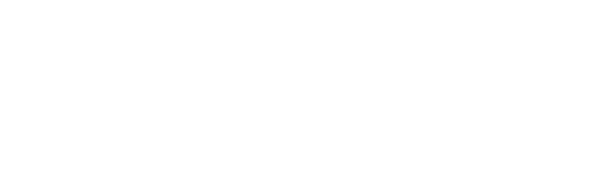 Grupo Bolmex